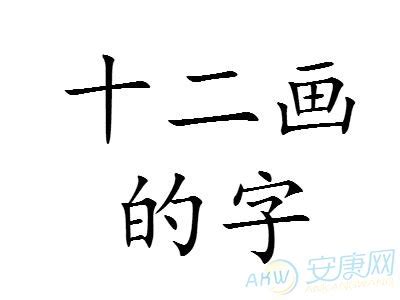 12筆畫的字|12画的字